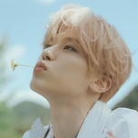 Songbird 이미지