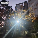 영차영차 이미지