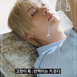 😻 하퍼스바자 인스타 리노 이미지