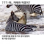:야..카메라 꺼졌지?.jpg 이미지