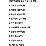 2025년 대학축제 연애인별 섭외비용 이미지