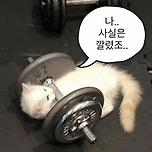 헬린이들이 가장 빡쳐하는 프로틴 고르는법 이미지