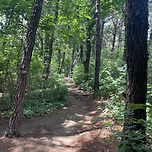 [5.27] Lunch Hike 이미지