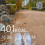 낮에 뛰니까 벌레가 오지게 달려든다 이미지