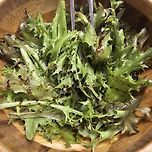 240528 그냥 샐러드 이미지