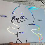 17 LG 그램 Pro 후기 (빅버니 작업) 이미지