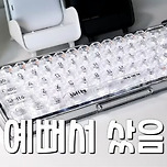 너무 예뻐서 무작정 사버린 투명 키보드.gif 이미지