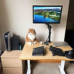 재택근무러를 위한 데스크셋업 이미지