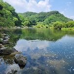 쏘가리낚시(천내터널) 이미지