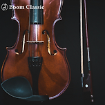 바이올린 렌탈 케어 붐클래식입니다. 이미지