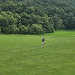 MLS를 스프츠 메인에 추가 해 주세요. 우리는 SON을 원한다 이미지