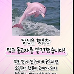 강인이는 토트넘 안가요~^^~ 이미지