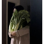 배추 레전드 이미지