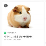 김00, 그는 정녕 돼지인가? 이미지