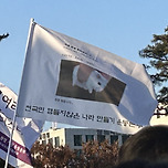 전국민 햄들지 않은 나라 만들기 운동본부 이미지