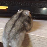 모 해 나도 볼래 이미지