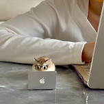 재택근무햄 이미지