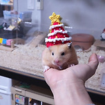 메리 크리스마스 앤 햄피 뉴이어 🎄🎁❤️ 이미지