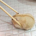 🐹햄찌 키워본 톨들이라면 이중 하나 해봤음(햄스압) 이미지