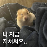 지쳤햄요......................... 이미지