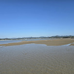 볼거리 즐길거리 먹거리 가득한 지역축제 현장 견학 이미지