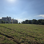 볼거리 즐길거리 먹거리 가득한 지역축제 현장 견학 이미지