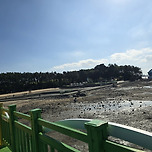 볼거리 즐길거리 먹거리 가득한 지역축제 현장 견학 이미지