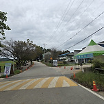 메밀꽃필무렵 핑크뮬리 이미지