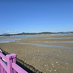 볼거리 즐길거리 먹거리 가득한 지역축제 현장 견학 이미지