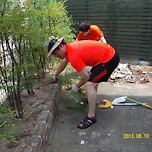 비바람 속에서도 다시 일어설 수 있었던 이유 이미지