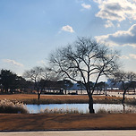 익산 미륵사지 둘레길 국립박물관 힐링 산책길 견학 이미지
