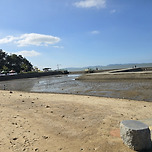 볼거리 즐길거리 먹거리 가득한 지역축제 현장 견학 이미지