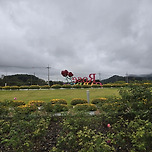 힐링 테마파크 선진지 견학 이미지