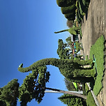 볼거리 즐길거리 먹거리 가득한 지역축제 현장 견학 이미지