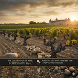 4주차: 와인의 귀결: 보르도 Part.1 이미지