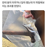 망치를 들고 지하철을 탄 여성.jpg 이미지