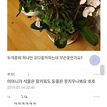 엄마 몰래 하나 팔라고 하는데 이미지