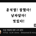 비상계엄 옹호하는 작가 유튜버 이미지