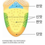 옛날에 있었던 대국민 사기극 이미지