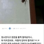 월 20만원 고시원에서 대형 바퀴벌레 나옴.jpg 이미지