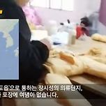 한국으로 왕창 배송된 &#39;중국산&#39; 패딩...&#39;가짜 오리털&#39;에 속았다 이미지