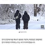 [기사] 전국 곳곳 &#39;대설특보&#39;..최대 25cm 눈 &#39;더&#39; 내린다 이미지