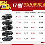 2024년 11월 국산차 판매량 순위 이미지