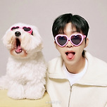 [기사] [단독] “제가 왜요” 임영웅 발언 여파···포천시 홍보대사 해촉 검토 이미지