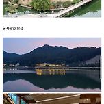 국내 최장 101m 목재 도서관 이미지