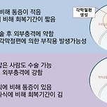 [정보] 라식과 라섹의 차이점 이미지