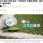 [기사] 교사 밀쳐 뇌진탕 실신…"오버하네" 조롱한 중학생, '금쪽이' 출연자였다 이미지