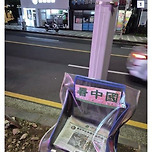 제주도 근황 이미지