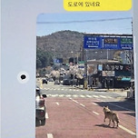 [기사] 늑구 주작 짤 올린사람 잡혀감 이미지