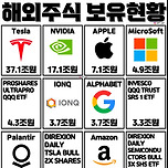 한국인 미국주식 보유현황 TOP12 이미지